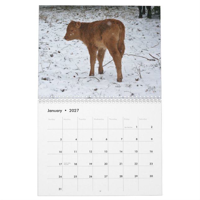 Calendário 2015 vitelas (Jan 2027)