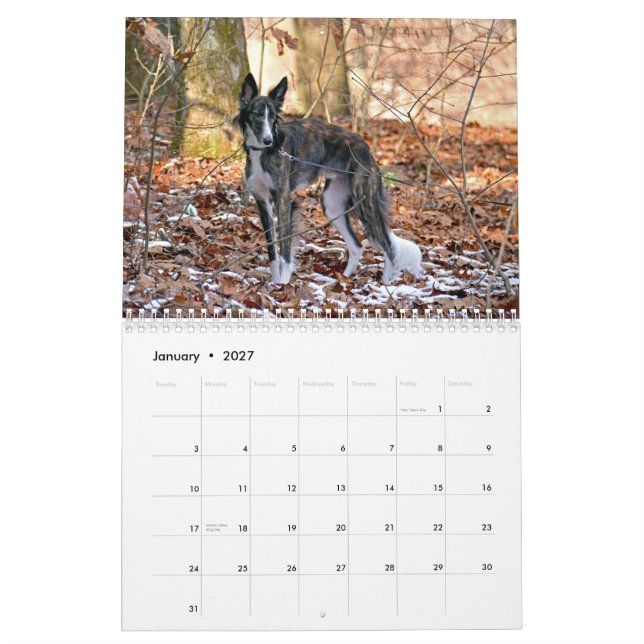 Calendário 2015 Windhounds macios (Jan 2027)