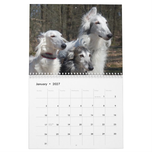 Calendário 2015 Windhounds macios (Jan 2027)