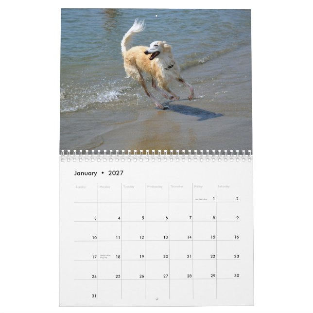 Calendário 2015 Windhounds macios na ação (Jan 2027)