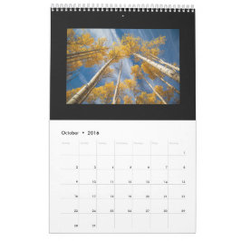 Calendário 2016
