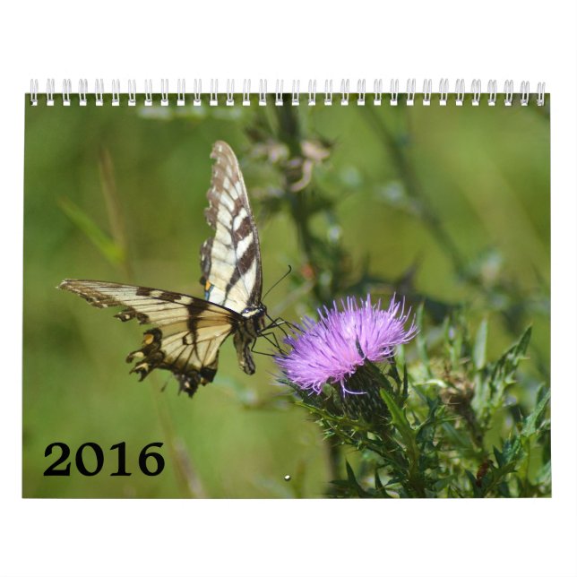 calendário 2016, borboletas e flores (Capa)
