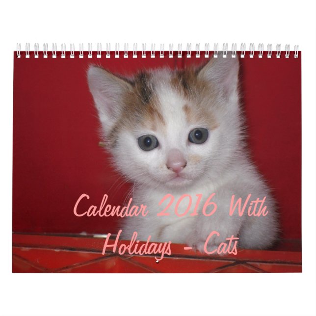 Calendário 2016 Com Feriados - Gatos (Capa)