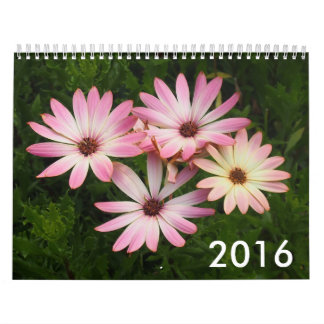 Calendário 2016 da foto