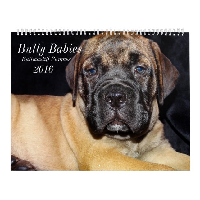 Calendário 2016 de Bullmastiff (Capa)