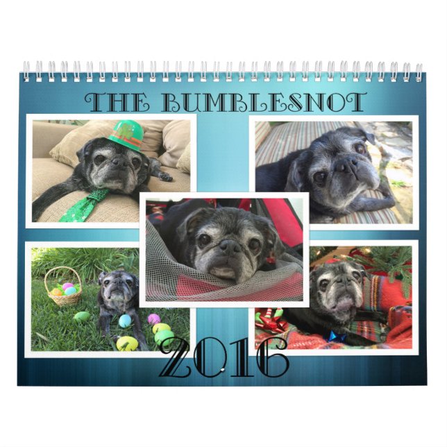 Calendário 2016 de Bumblesnot (Capa)
