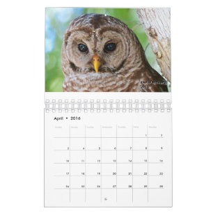 Calendário 2016 de OwlWatch
