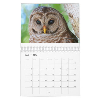 Calendário 2016 de OwlWatch