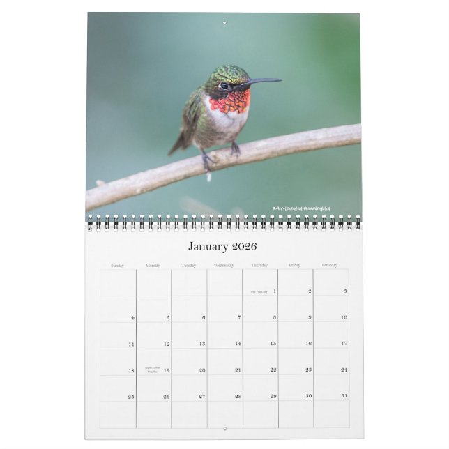 Calendário 2016 do colibri (Jan 2026)