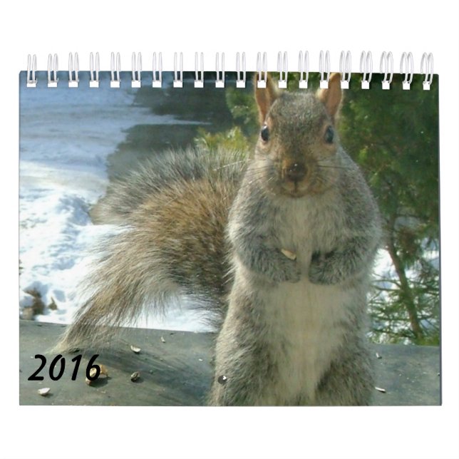 Calendário 2016 do esquilo (Capa)