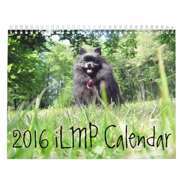 calendário 2016 do iLMP (Capa)