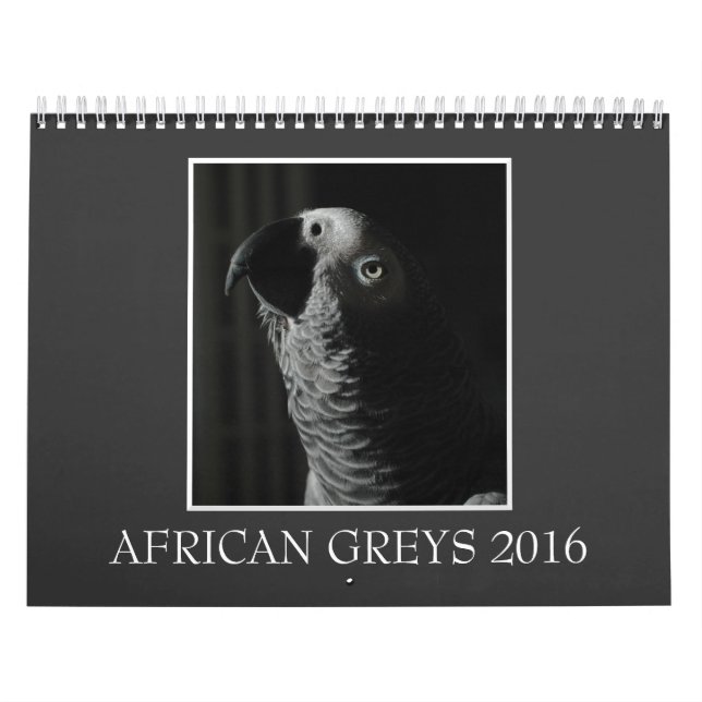 Calendário 2016 do papagaio do cinza africano de (Capa)