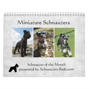 Calendário 2016 do Schnauzer