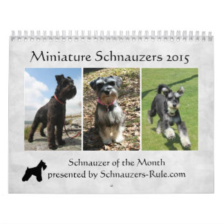 Calendário 2016 do Schnauzer