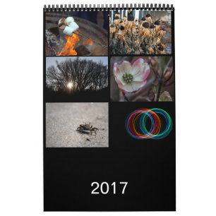 Calendário 2017