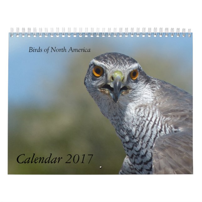 Calendário 2017 - Aves da América do Norte (Capa)