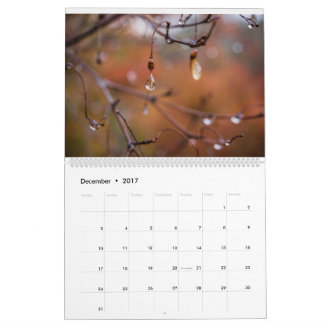 Calendário 2017 calendário, fotos por Eric Johnson