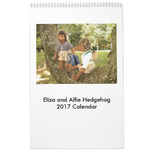 Calendário 2017 da boneca do ouriço