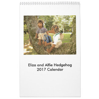 Calendário 2017 da boneca do ouriço