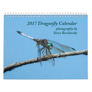 Calendário 2017 da libélula