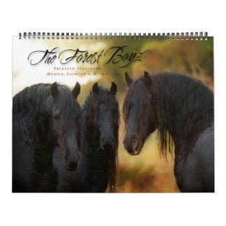 Calendário 2017 de Boyz da floresta