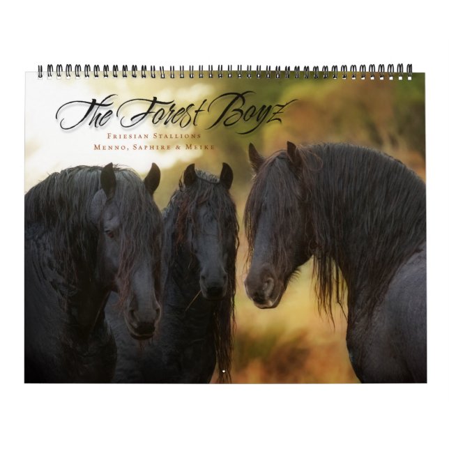 Calendário 2017 de Boyz da floresta (Capa)