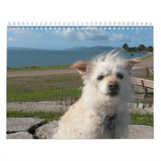 Calendário 2017 de Gwendolyn