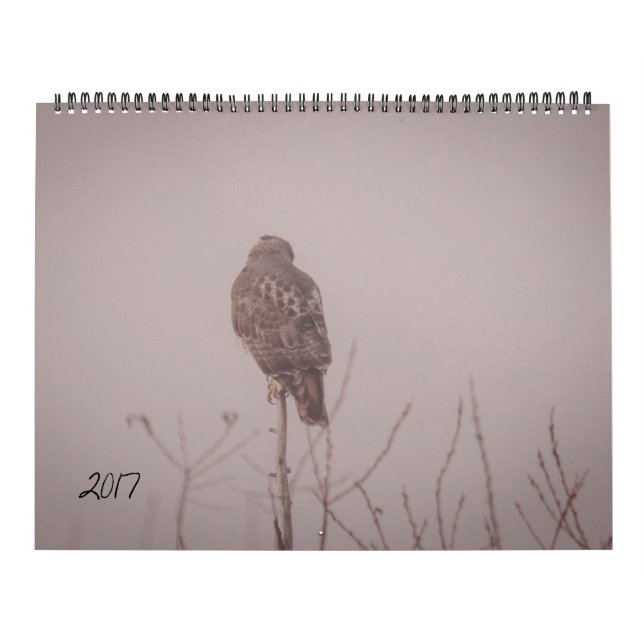 Calendário 2017 dos animais selvagens (Capa)