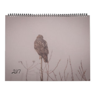 Calendário 2017 dos animais selvagens