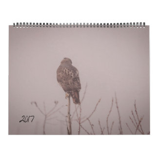 Calendário 2017 dos animais selvagens