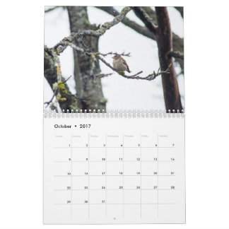 Calendário 2017 pela arrecadação de Barbara