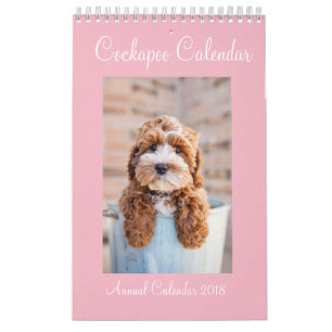 Calendário 2018 de Cockapoo