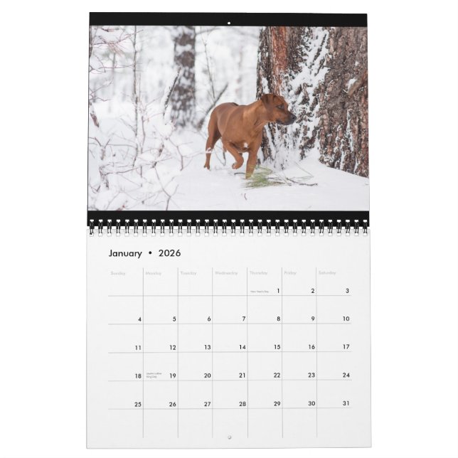 Calendário 2018 de Rhodesian Ridgeback (Jan 2026)