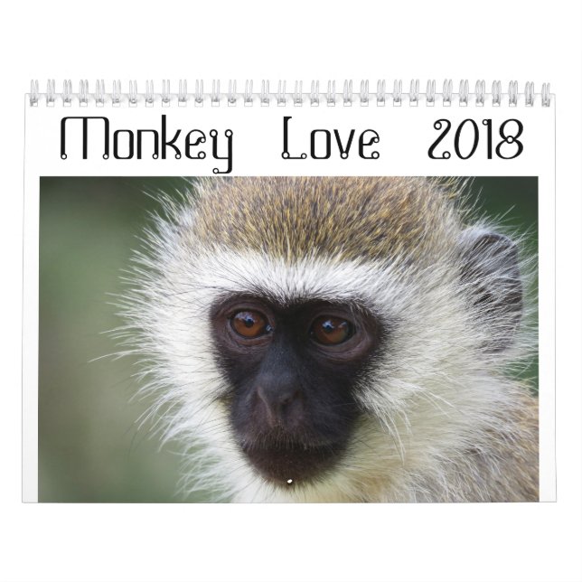 Calendário 2018 do amor do macaco (Capa)