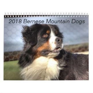 Calendário 2018 do cão de montanha de Bernese