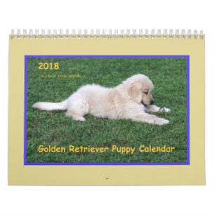Calendário 2018 do filhote de cachorro do golden