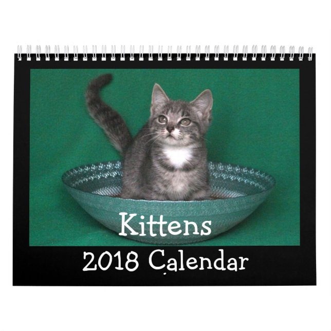 Calendário 2018 do gatinho (Capa)