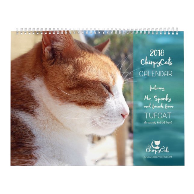 Calendário 2018 do gato - gatos Chirpy (Capa)