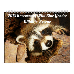 Calendário 2018 Raccoons of Wild Blue Yonder Wildlife Rescue