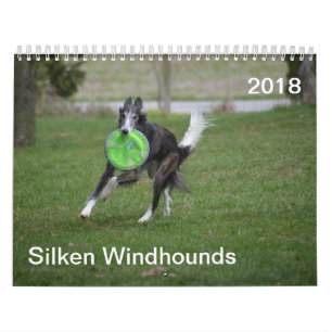 Calendário 2018 Windhounds macios (na ação)