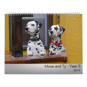 Calendário 2019 de Mose e de Ty