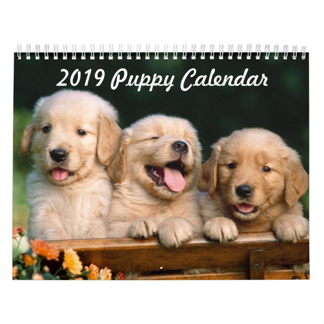 Calendário 2019 do filhote de cachorro (Capa)