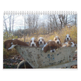 Calendário 2019 do filhote de cachorro do cão de