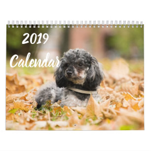 Calendário 2019 imagens bonitos do cão de caniche do