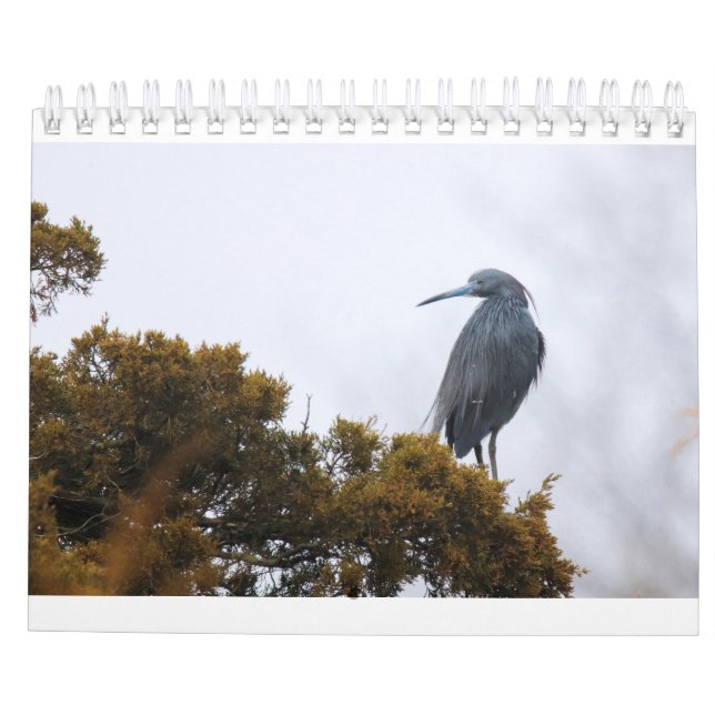 Calendário 2020 (Verso)