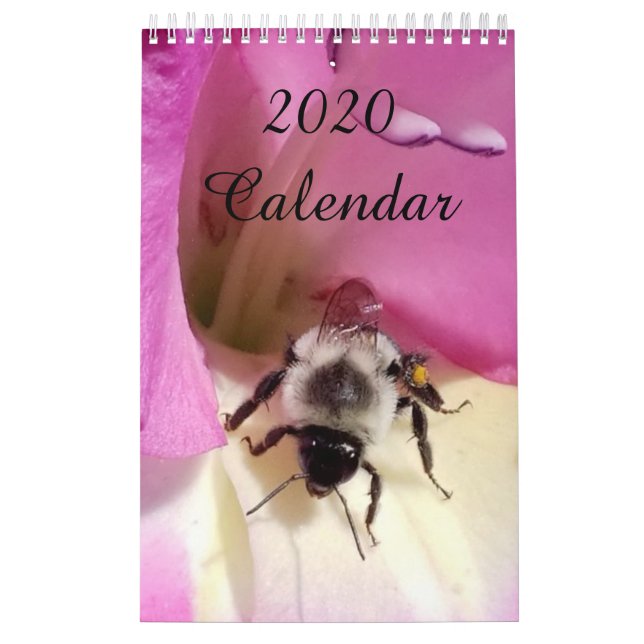 Calendário 2020 (Capa)