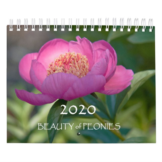 Calendário 2020 Beleza das Peônias (Capa)