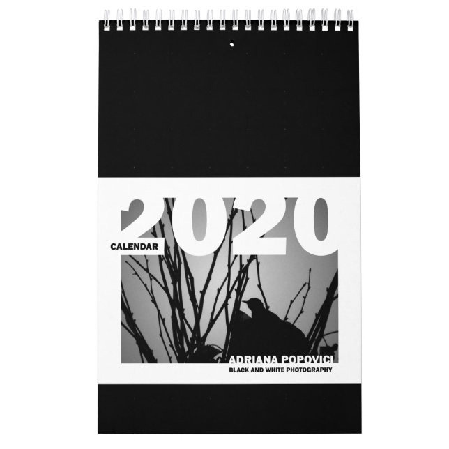 Calendário 2020: &Calendário de Fotografia de Bela (Capa)