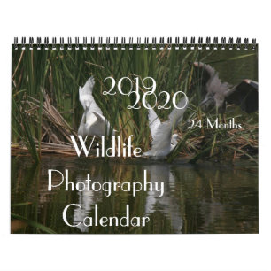 Calendário 2020 da fotografia 2019 dos animais