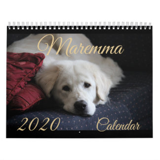 Calendário 2020 de Maremma